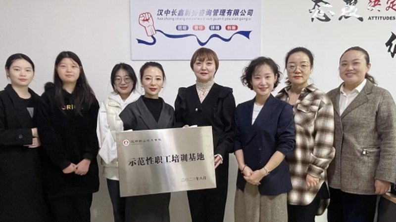 企业组织架构优化：人力资源咨询价格背后的考量**